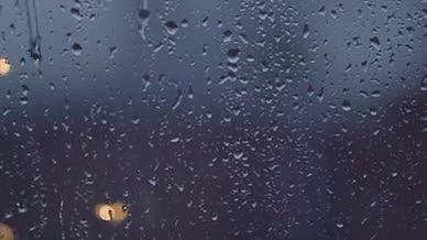 雨滴夜景叶子视频的预览图